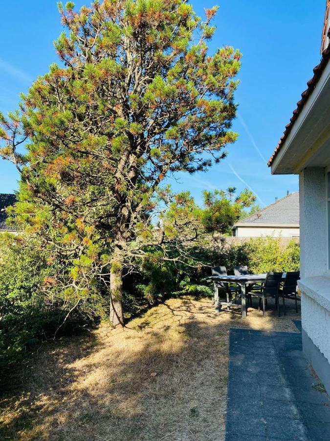 Vila Vakantiehuis Strandpieper Oostduinkerke Exteriér fotografie